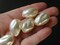 10 25mm White Baroque Oval Vintage Cultura Pearl Plastic Beads